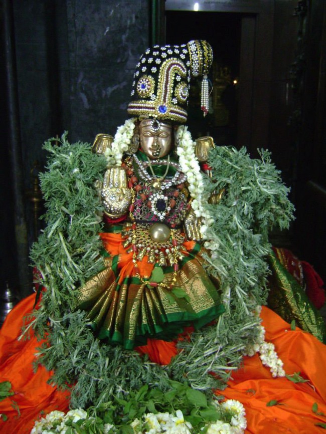 Aminjikarai Varadaraja Perumal Temple Dhavana Utsavam day 2 2014--02