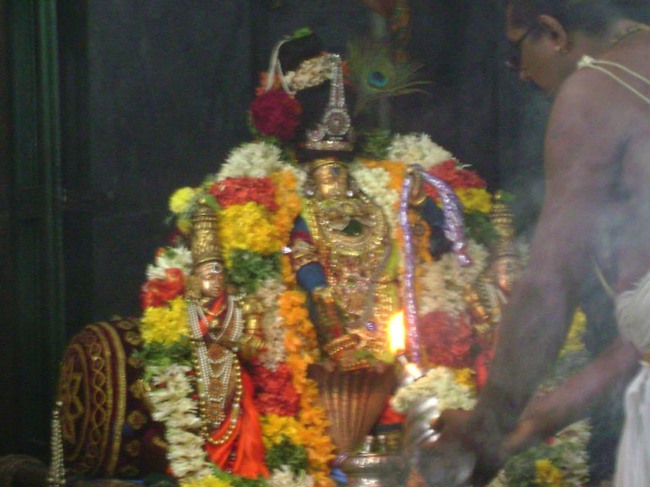 Aminjikarai Varadaraja Perumal Temple Dhavana Utsavam day 2 2014--03
