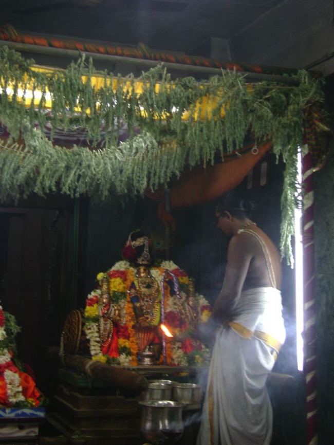 Aminjikarai Varadaraja Perumal Temple Dhavana Utsavam day 2 2014--06