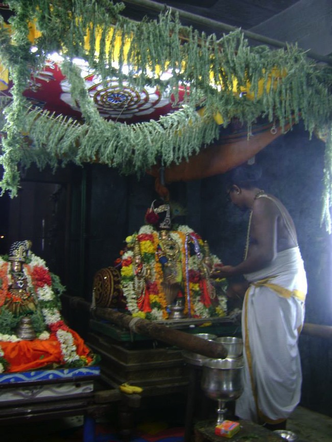 Aminjikarai Varadaraja Perumal Temple Dhavana Utsavam day 2 2014--07