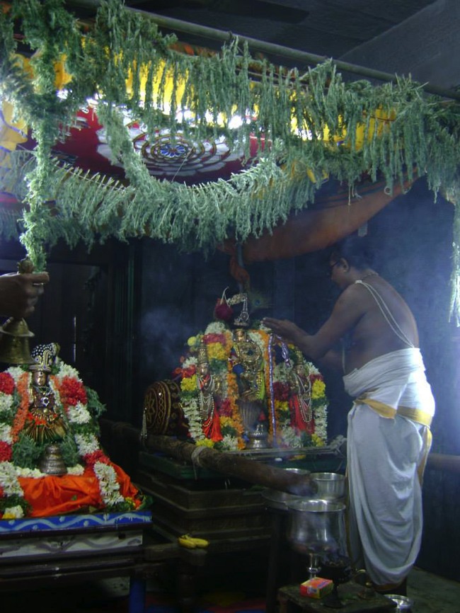 Aminjikarai Varadaraja Perumal Temple Dhavana Utsavam day 2 2014--08