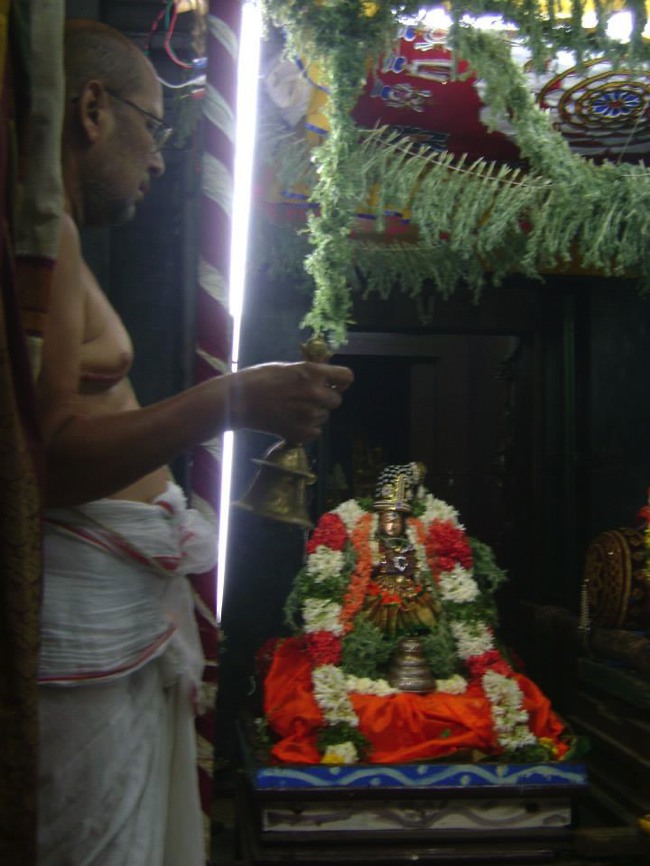 Aminjikarai Varadaraja Perumal Temple Dhavana Utsavam day 2 2014--09
