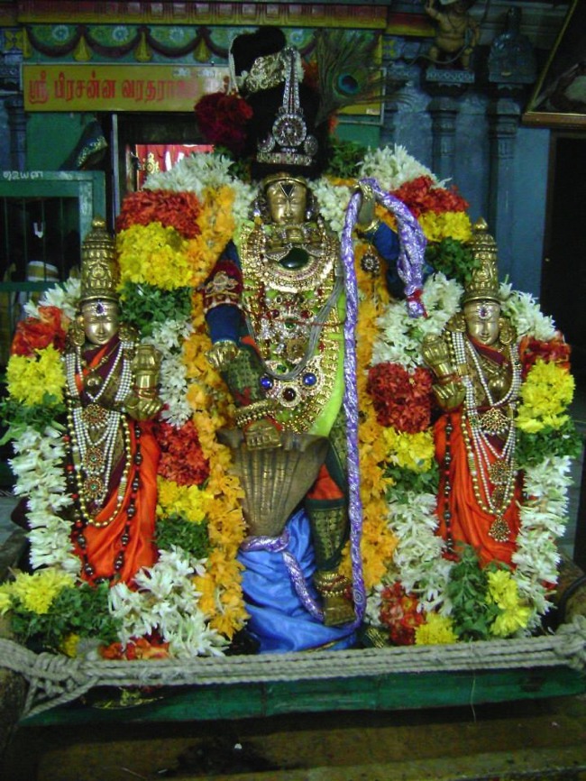 Aminjikarai Varadaraja Perumal Temple Dhavana Utsavam day 2 2014--14