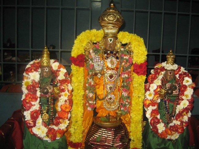 Arumbakkam Sri Sathya Varadaraja Perumal THirukachi nambi thirunakshatra Utsavam 2014 -01