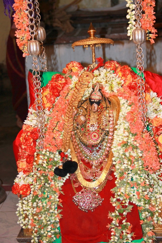 Azhagiyasingar Vijayam  to  Thirupathi AHobila Mutt 2014 -39