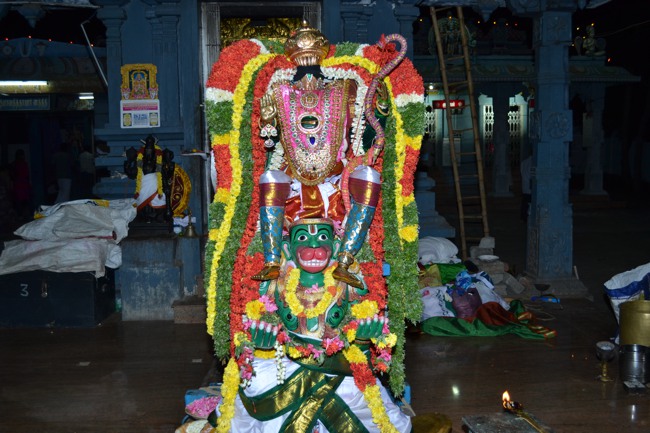 BHEL Venkatachalapathy Kovil Brahmotsavam Day 5  2014--02