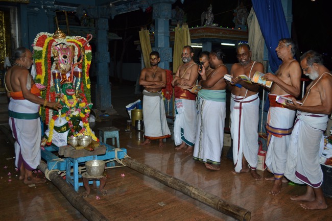 BHEL Venkatachalapathy Kovil Brahmotsavam Day 5  2014--03