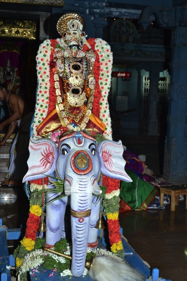 BHEl Venkatachalapthi temple Brahmotsavam day 6 2014--00