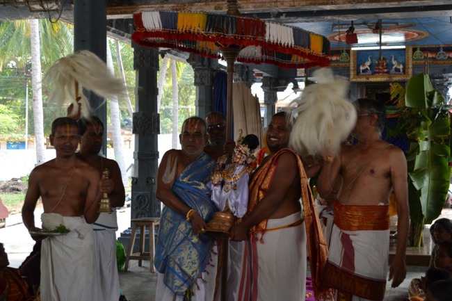 BHEl Venkatachalapthi temple Brahmotsavam day 6 2014--05