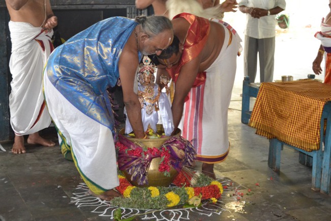 BHEl Venkatachalapthi temple Brahmotsavam day 6 2014--06