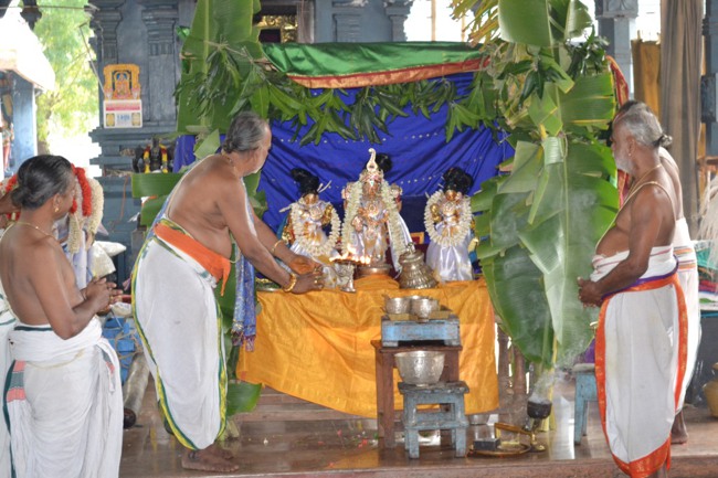 BHEl Venkatachalapthi temple Brahmotsavam day 6 2014--09