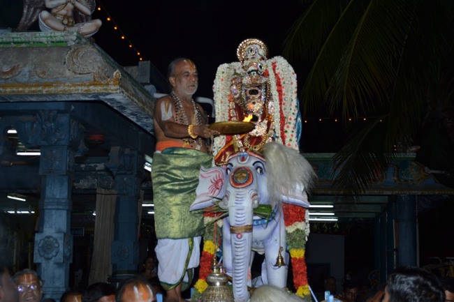 BHEl Venkatachalapthi temple Brahmotsavam day 6 2014--14