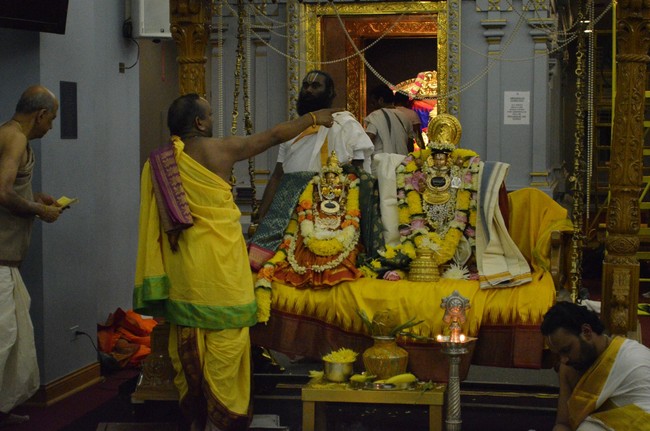 Illinios Sri venkateswara Perumal Temple Panguni Sevai 2014 -02