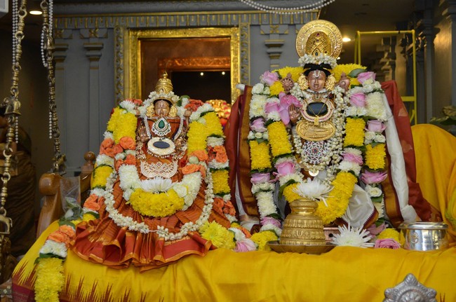 Illinios Sri venkateswara Perumal Temple Panguni Sevai 2014 -13