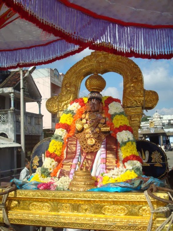 Kanchi Devappperumal Sravana Purappadu 2014 -10