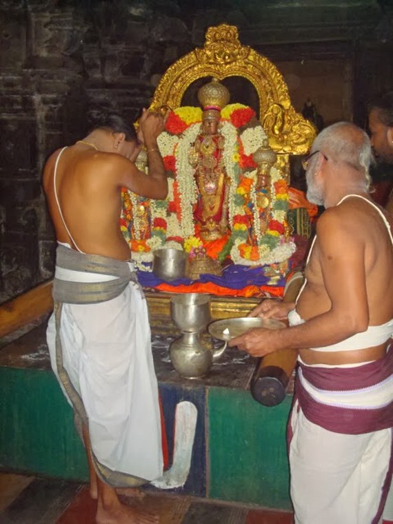 Kanchi Devappperumal Sravana Purappadu 2014 -13