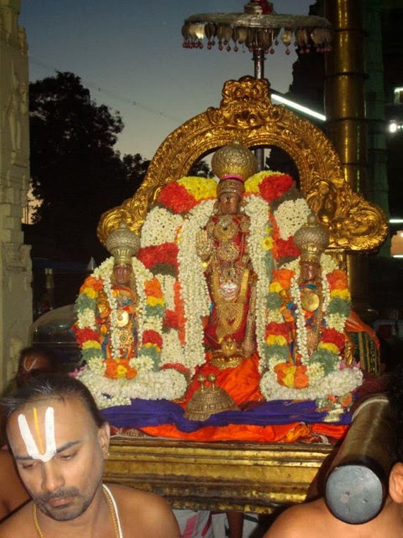 Kanchi Devappperumal Sravana Purappadu 2014 -30