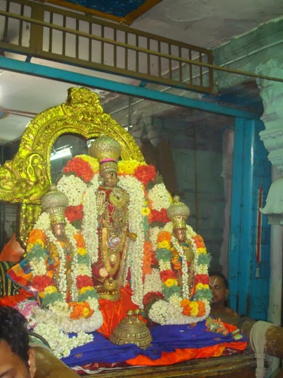 Kanchi Devappperumal Sravana Purappadu 2014 -33