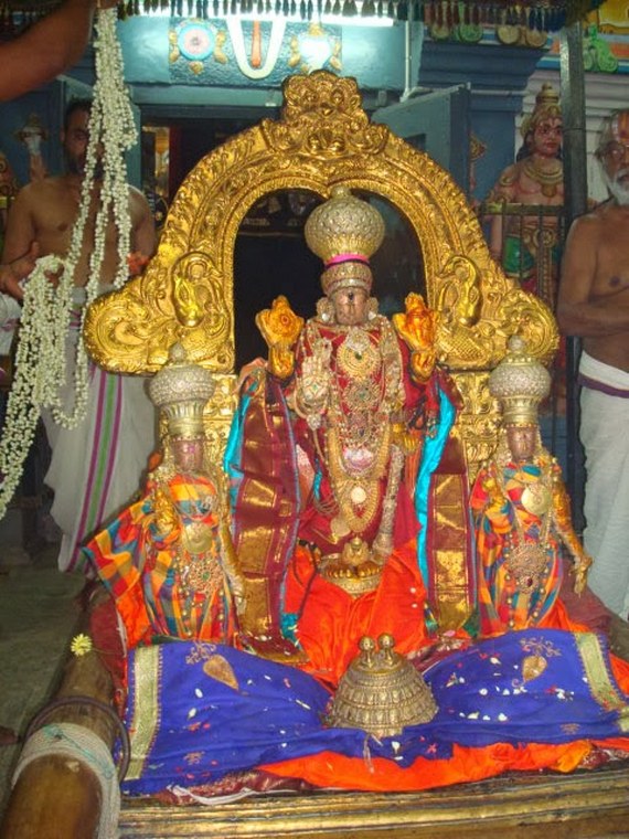 Kanchi Devappperumal Sravana Purappadu 2014 -35