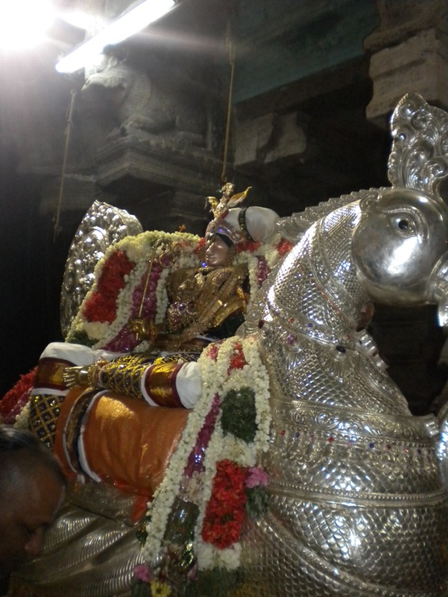 Mannargudi Brahmotsavam Day 3 Hamsa vahanam 2014--04