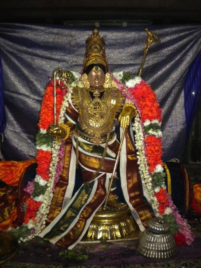 Mannargudi Brahmotsavam day 4  2014--00