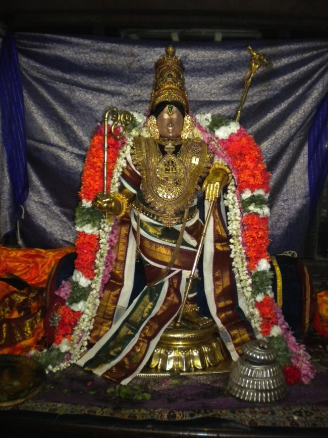 Mannargudi Brahmotsavam day 4  2014--01