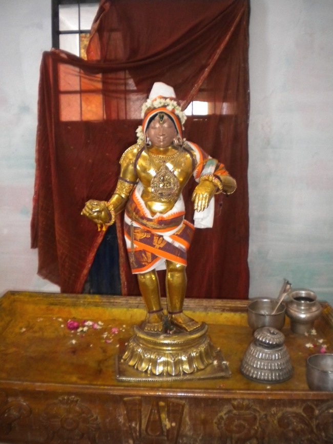 Mannargudi Brahmotsavam day 4  2014--04