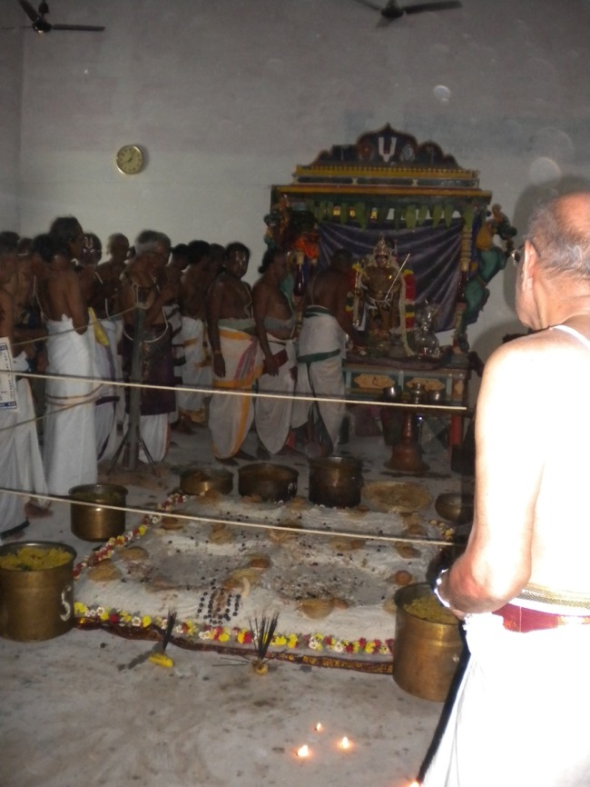 Mannargudi Brahmotsavam day 4  2014--06