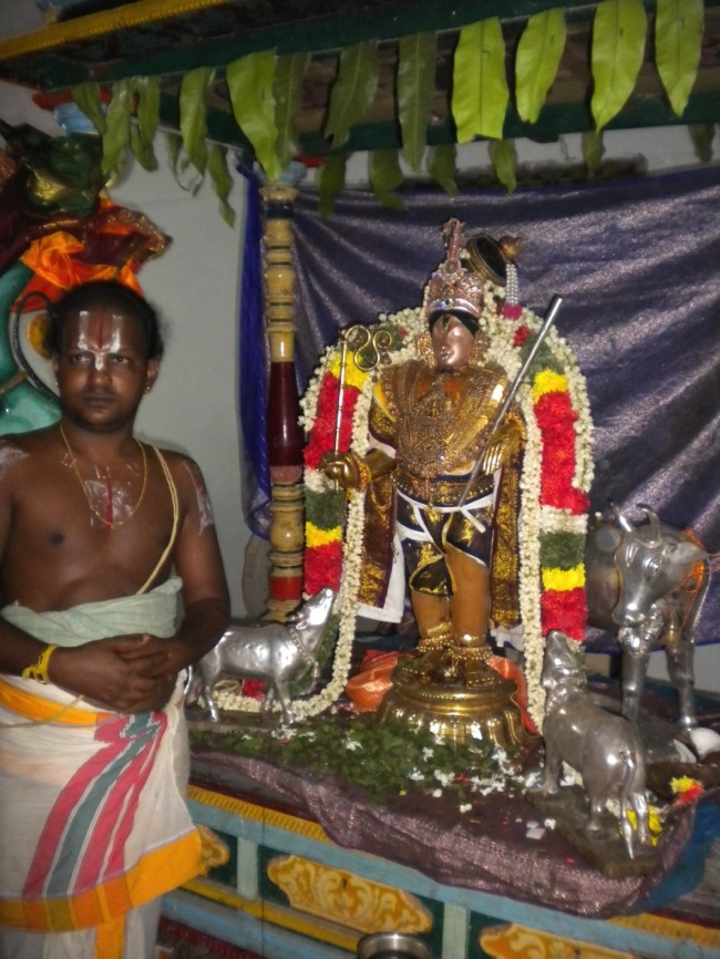 Mannargudi Brahmotsavam day 4  2014--08