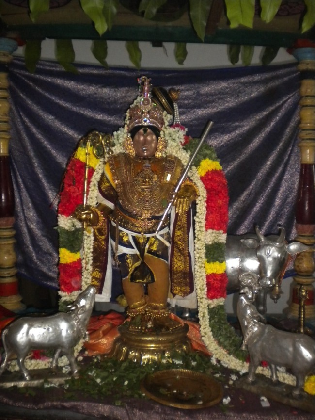 Mannargudi Brahmotsavam day 4  2014--10
