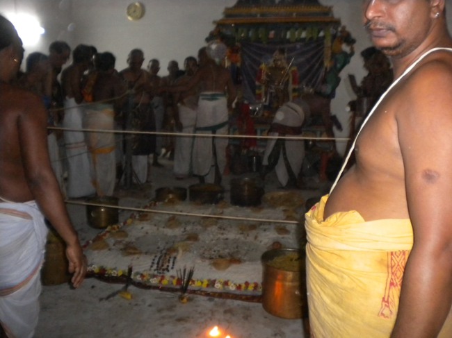 Mannargudi Brahmotsavam day 4  2014--14