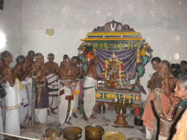 Mannargudi Brahmotsavam day 4  2014--15