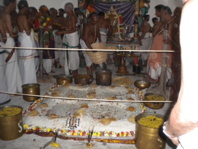 Mannargudi Brahmotsavam day 4  2014--16