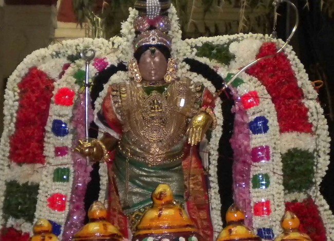Mannargudi Rajagopala Swami Perumal Temple Brahmotsavam Hanumantha vahanam 2014 -04