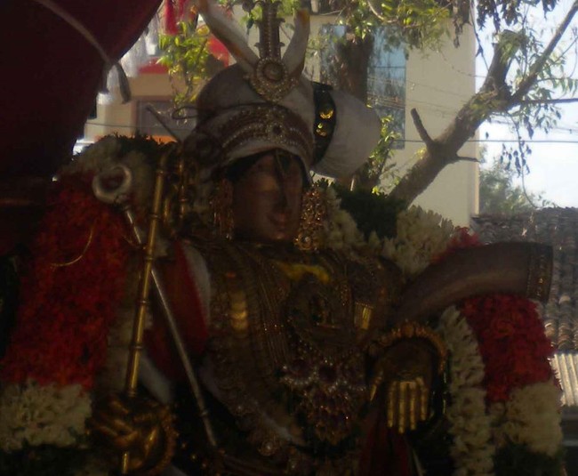 Mannargudi Rajagopalan Day 7 Utsavam  2014 -03