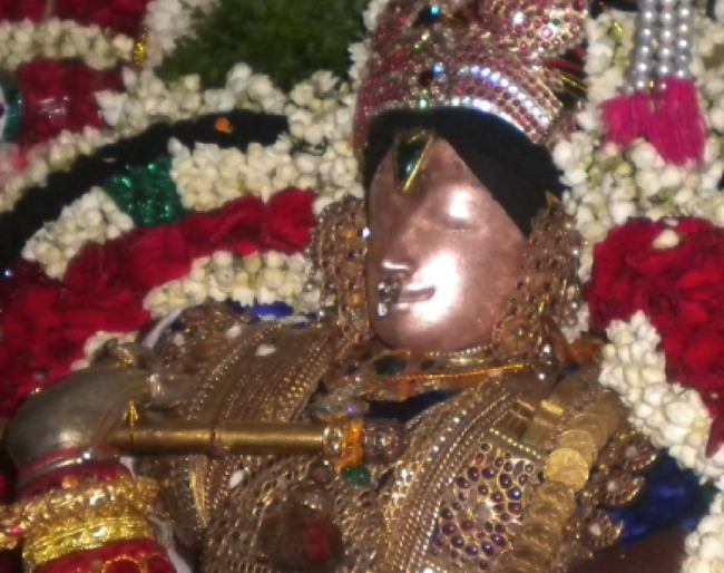 Mannargudi Rajagopalaswamy Brahmotsavam day 9   2014--00