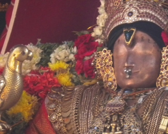 Mannargudi Rajagopalaswamy Brahmotsavam day 9   2014--01