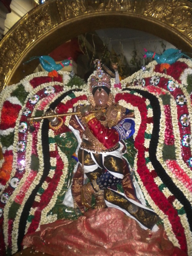 Mannargurdi Rajagopalan Brahmotsavam Surya Prabhai  2014--01