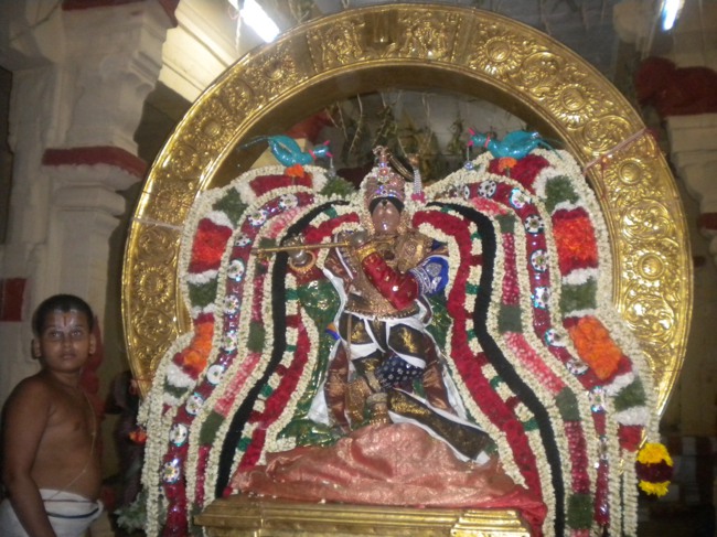 Mannargurdi Rajagopalan Brahmotsavam Surya Prabhai  2014--06