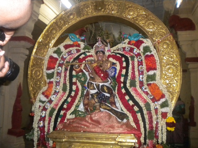 Mannargurdi Rajagopalan Brahmotsavam Surya Prabhai  2014--07