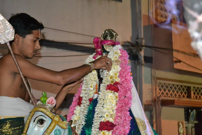 Mylapore Adhikesava Perumal Kudhirai Vahanam 2014 -12