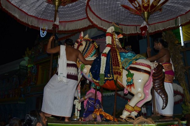 Mylapore Adhikesava Perumal Kudhirai Vahanam 2014 -18