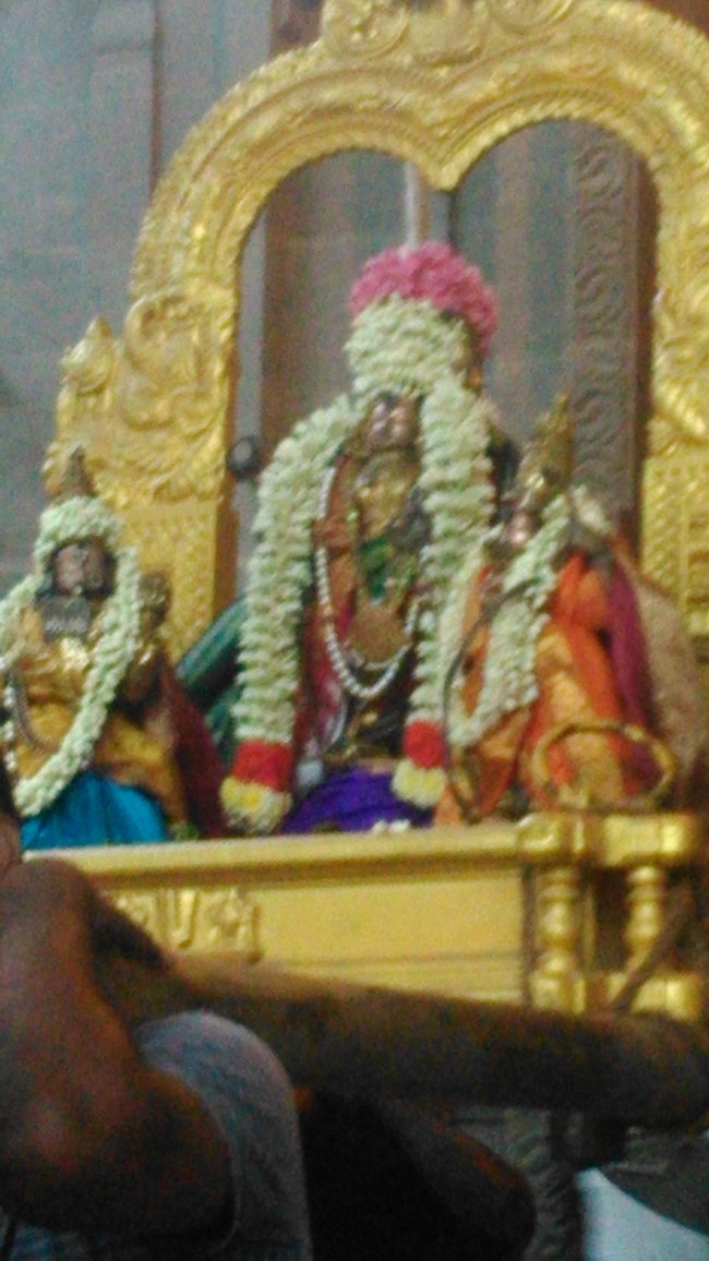 Mylapore Adhikesava Perumal Kulasekara azhwar Purappadu 2014 -03