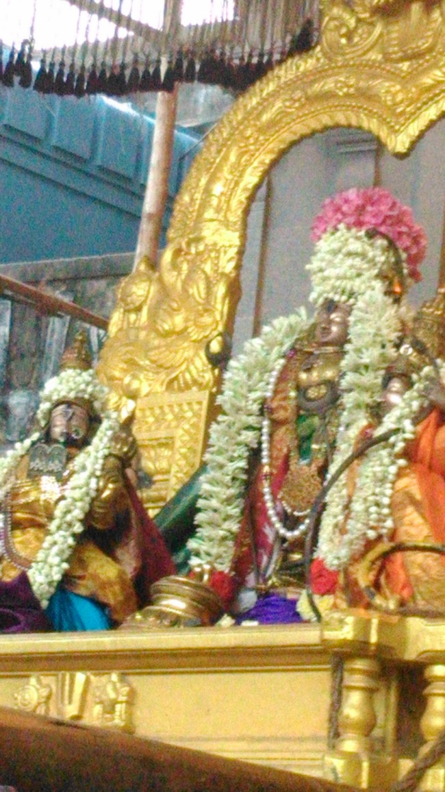 Mylapore Adhikesava Perumal Kulasekara azhwar Purappadu 2014 -10