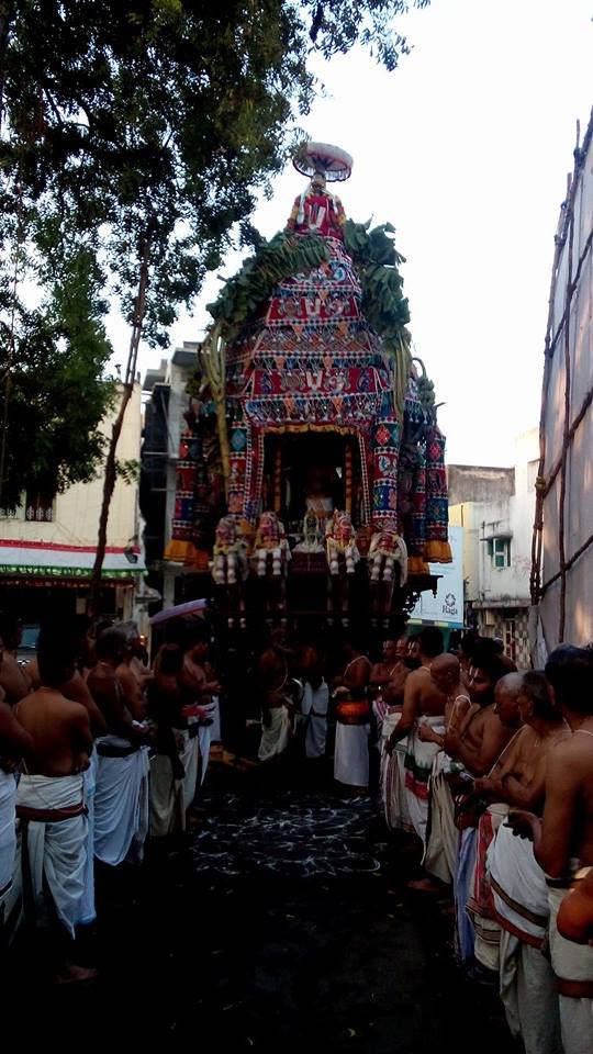 Mylapore Adhikesava Perumal Temple Brahmotsavam THiruther 2014 -13