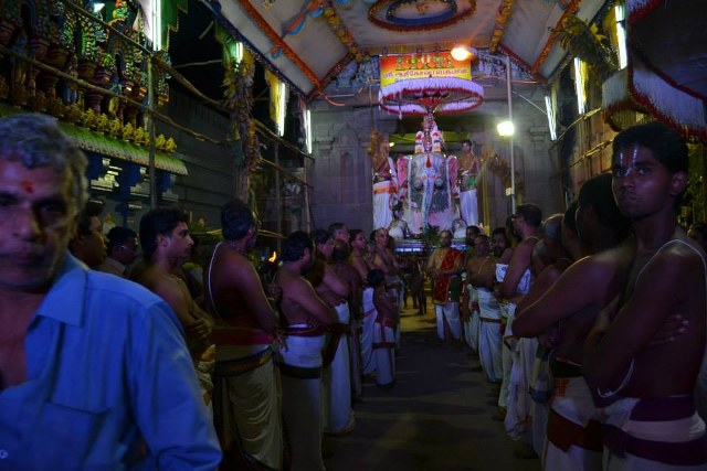 Mylapore Adhikesava Perumal Temple Brahmotsavam Yanai vahanam 2014 -12_640x427
