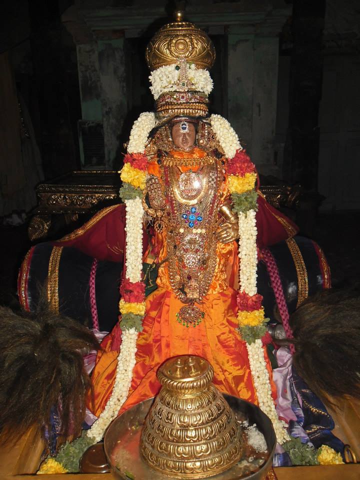 Mylapore Adhikesava perumal Brahmotsavam Simha vahanam  2014 -13