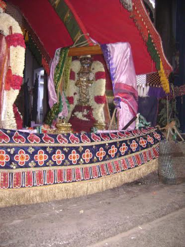 Mylapore Adhikesava perumal kovil  Brahmotsavam Nachiyar thirukolam  2014--03