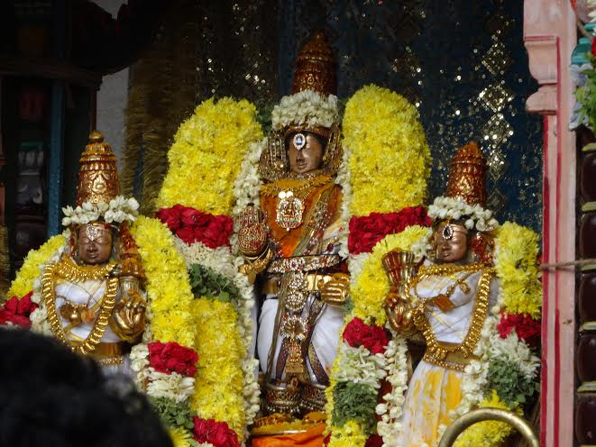 Mylapore Adhikesava perumal temple Choornabhishekam 2014 -3