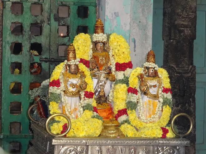 Mylapore Adhikesava perumal temple Choornabhishekam 2014 -4